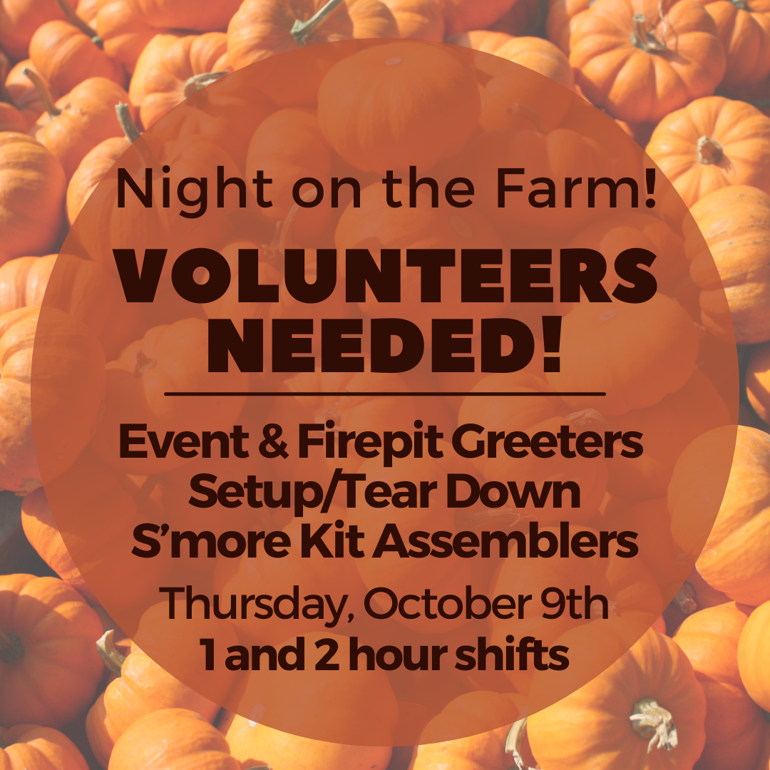 Pumpkin background with request for volunteers